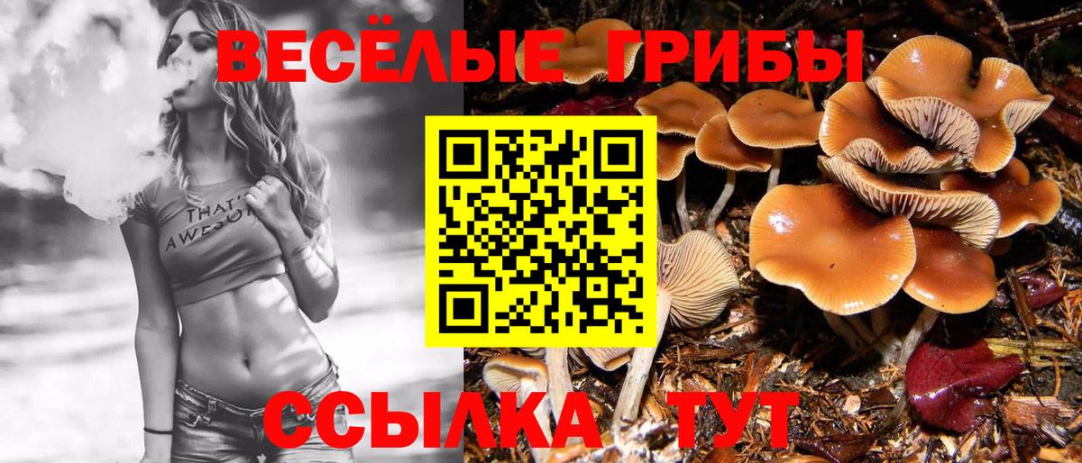 Галлюциногенные грибы прущие грибы Шали